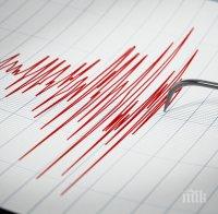 Земетресение с магнитуд 5.7 по Рихтер бе регистрирано край бреговете на Индонезия