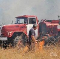Пожар вилня край Перущица, изпепели 300 декара пшеница