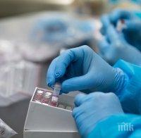 Учебната година в Косово се отлага, затварят и детските градини