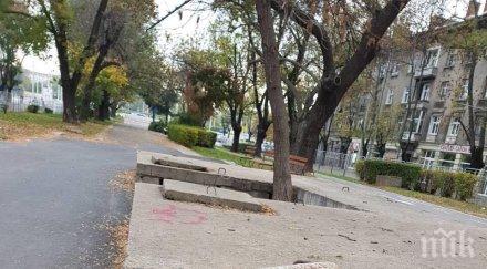 вандализъм жена потроши обществена чешма