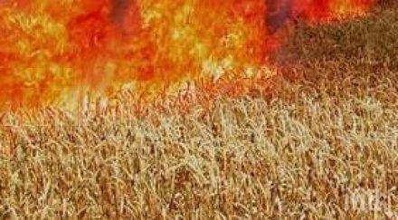 пламна житен блок село тракиец