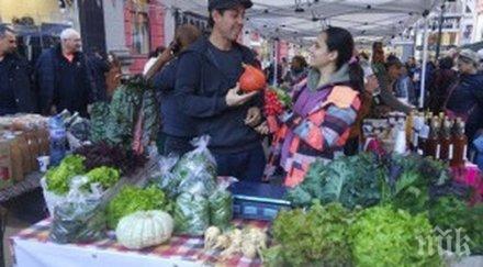 враца домакин голям фермерски пазар