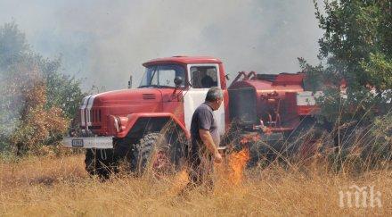 пожар вилня перущица изпепели 300 декара пшеница