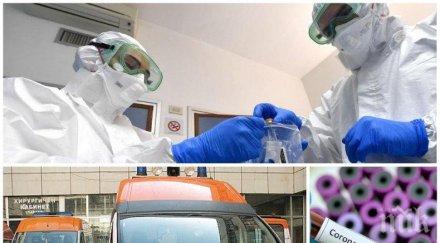 първо пик горещи данни пандемията covid заразени вирусът взе пет жертви