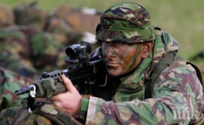 тактическа група силите нато демонстрира способности