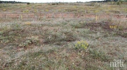 теренен мониторинг показва самовъзстановяване понто сарматски степи района добруджа