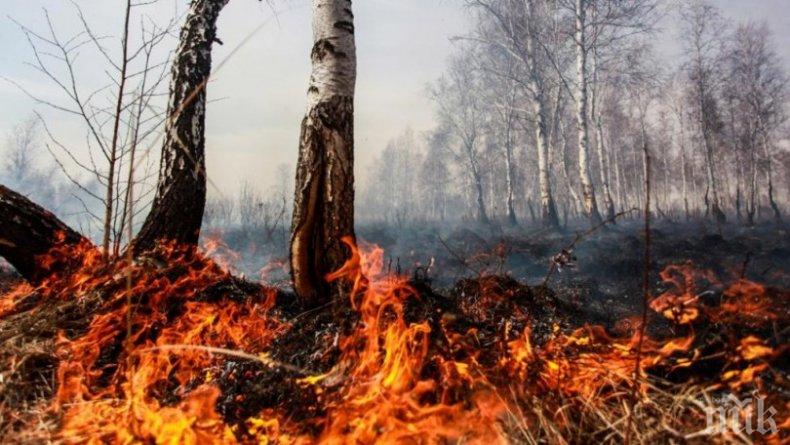 Екстремален индекс за опасност от пожари за три области на страната за 3 юли