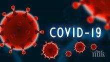 Професор от Оксфорд с шокираща хипотеза за произхода на Covid-19