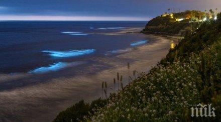 разкриха механизма нощното осветяване крайбрежните вълни