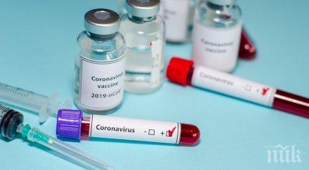 белгия дала млн евро лекарски съвети началото епидемията