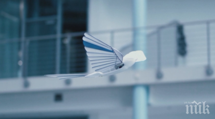 германска компания създаде бионичен бързолет