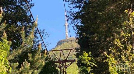 сагата витоша