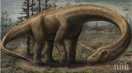 прадядото динозаврите бил висок