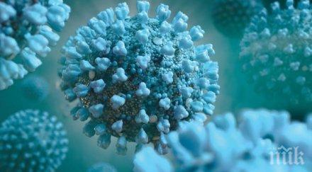 учени алармират covid доведе мозъчни увреждания