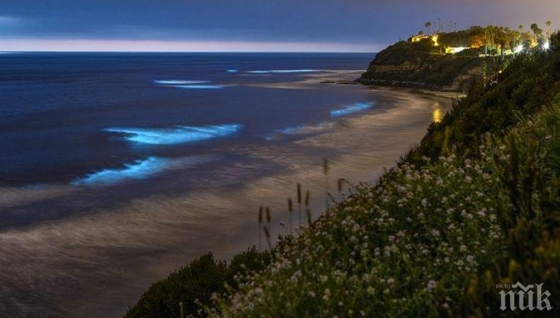 Разкриха механизма на нощното осветяване на крайбрежните вълни