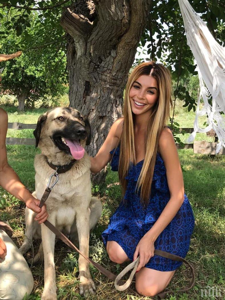 Каканашева търси стопани на шест кангала (СНИМКА)