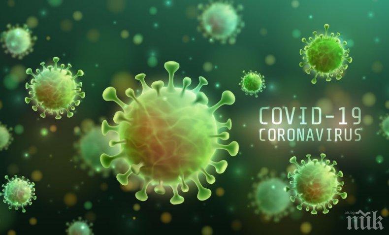 АЛАРМА: Учени предупреждават - коронавирусът може да се предава от човек на човек и на повече от два метра