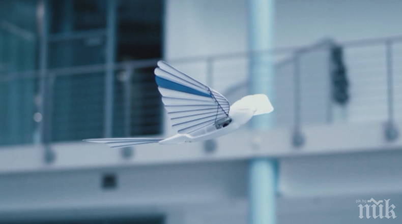 Германска компания създаде бионичен бързолет