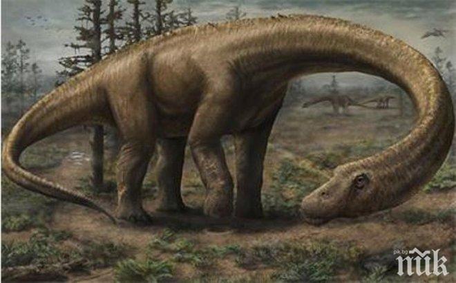 Прадядото на динозаврите бил висок... 10 см