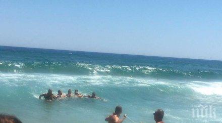 после виновен червеният флаг мъртвото вълнение стряскат никого бременна плувкиня