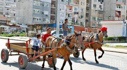 цигански ромео трети клас залюби годишна жулиета изпати