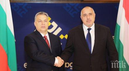 депутатът георги марков орбан посред нощ намери време подкрепи борисов