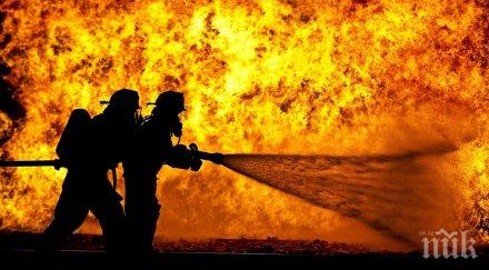 огнеборци спасиха 3000 декара смесена гора бензиностанция