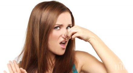 закон румъния забрани разпространението миризми