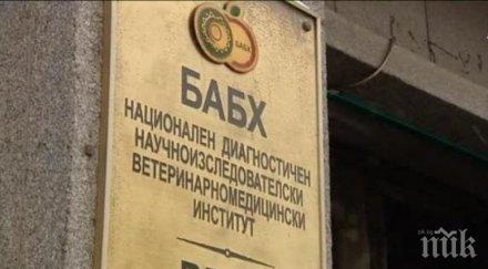 бабх рядко моловете нарушения