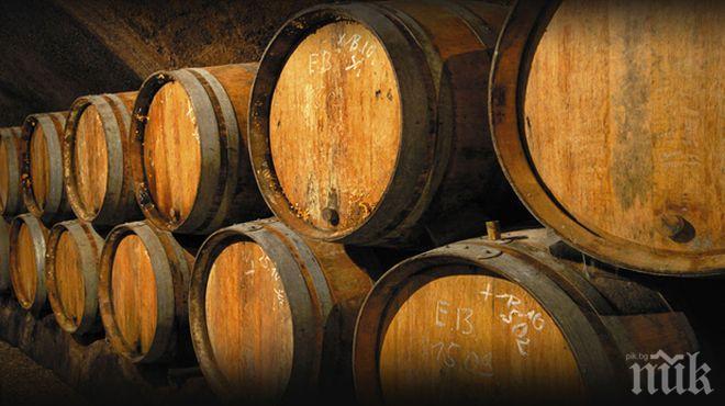 Фонд Земеделие” приема проекти за инвестиции в лозаро-винарския сектор