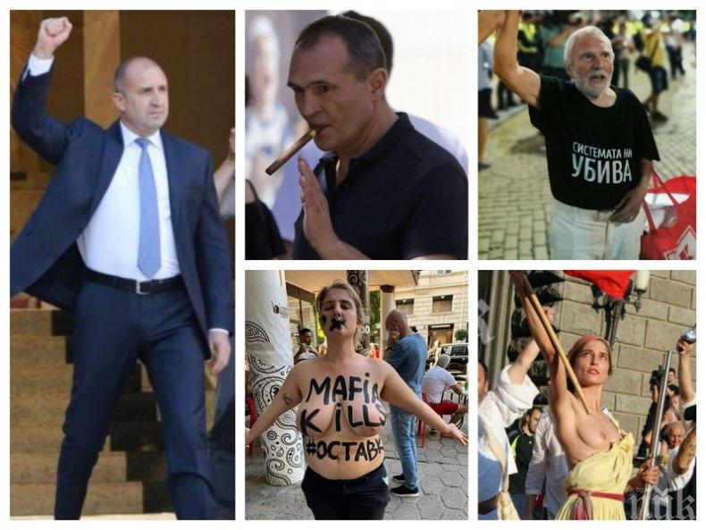 ИВА НИКОЛОВА: Протести ли? Уплашеният Румен Радев просто иска да си спаси задника от прокурорите
