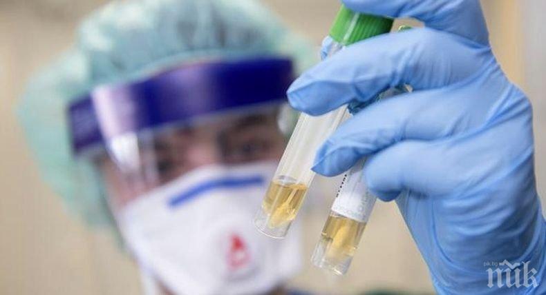 378 нови случая на заразяване с коронавируса в Германия за денонощие