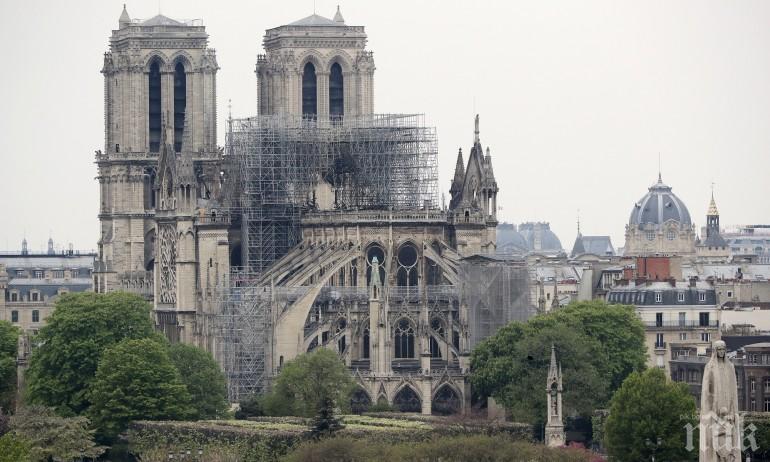 Секат вековни дъбове за реставрацията на Нотр Дам в Париж