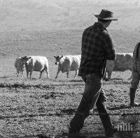 Фермери от Пловдивско взеха над 1 млн. лева субсидии