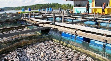 кризата удари рибарниците родопите