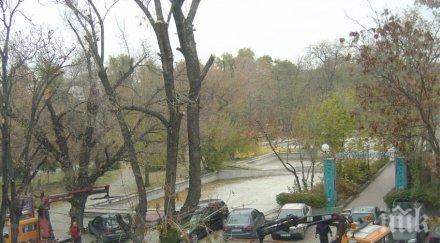 нечуван абсурд глобиха шофьор град стъпвал години