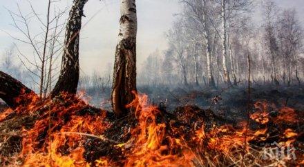 НАПРЕГНАТА НОЩ: Пожарът в Пазарджишко застраши две села, стигна до обитаеми къщи