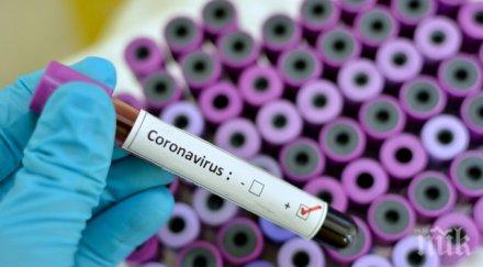 шок ужас пловдивско село заради заразен covid