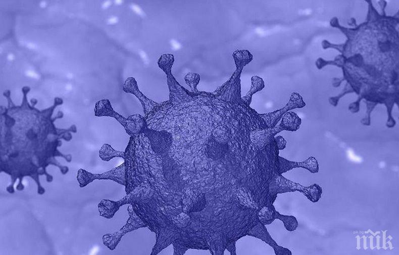 Заразените с коронавируса по света са вече над 13 млн.