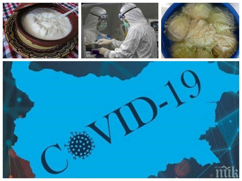 НОВО ПРОУЧВАНЕ: Учени разкриха какво спасява българите от COVID-19 