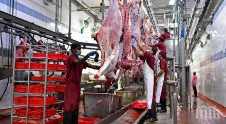 големият месокомбинат румъния пламна covid чакат резултатите 300 служители