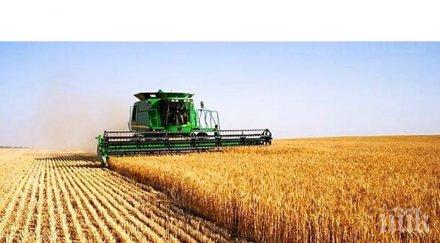 ожънаха ечемика рапицата област монтана