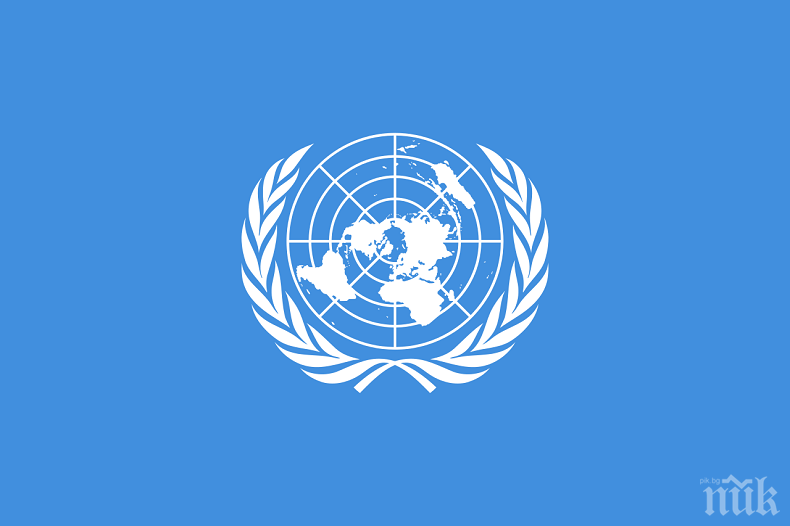 АЛАРМА ОТ ООН: 27 държави са заплашени от недостиг на храна заради коронавируса