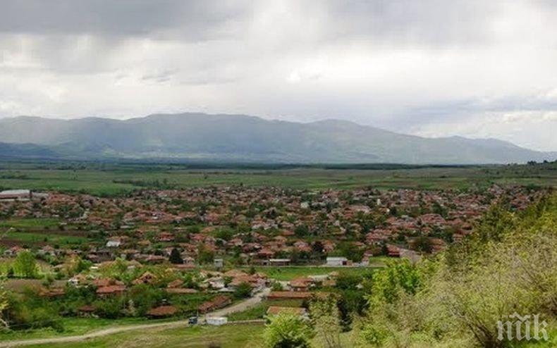 Млади хора почистват гора край село в Силистренско