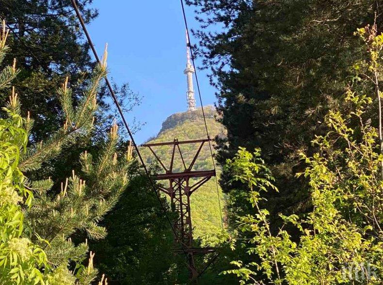 ПО ИСКАНЕ НА ПРОКУРАТУРАТА: ДНСК подпука имоти на територията на парка „Витоша“

