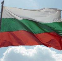 ВАНДАЛСТВО В СМОЛЯН: Непълнолетни момчета и момичета посякоха с брадва националния флаг на България - ето още какви поразии причиниха