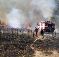 Нов  пожар избухна край Хасково