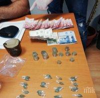 Дилър на дрогата бонзай е заловен в Пловдив