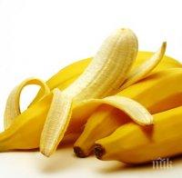 Ето какво съживяват непотребните обелки от банани