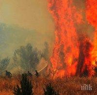 Огромен горски пожар бушува на Пелопонес